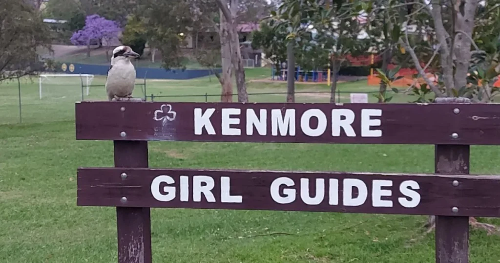 Scouts and Girl Guides