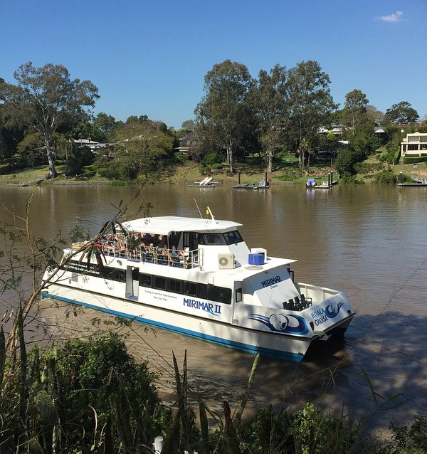 Cruise to Lone Pine Koala Sanctuary