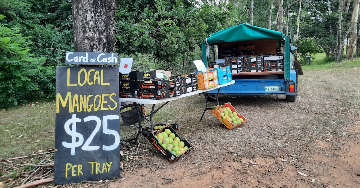 A Century Strong at Historic Upper Brookfield Mango Farm