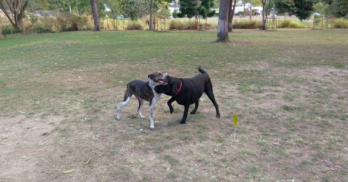 Akuna Park